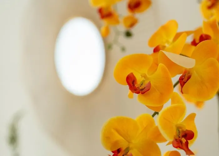 La Vie - Center & Free Park *