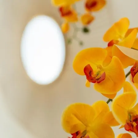 La Vie - Center & Free Park *